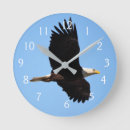 Zoek naar vliegen klokken Natuur