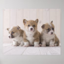 Recherche de parquet posters Nature