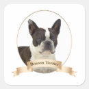 Recherche de boston terrier dog autocollants Animal