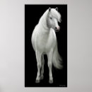 Recherche de chevaux sauvages posters Mustang
