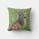 Recherche de bambi coussins Mignon