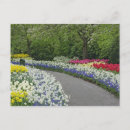 Recherche de piéton cartes postales Promenade