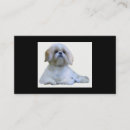 Zoek naar shih tzu visitekaartjes Hond
