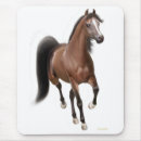 Recherche de trotteur tapis souris Poney