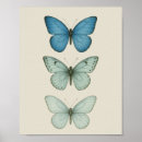 Recherche de naturaliste art Papillon