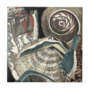 Recherche de coquillages carreaux Conque