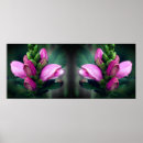 Recherche de torche posters Rose