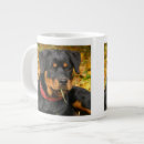 Zoek naar rottweiler hond mokken Dier