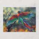 Recherche de amazonie cartes postales Environnement