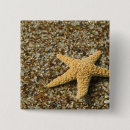 Zoek naar zeester buttons Oceaan