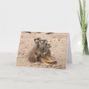 Zoek naar meerkats kaarten Het wild