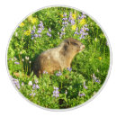 Recherche de animal sauvage boutons et poignées de porte Mignon