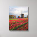 Zoek naar tulpen kunst Nederland