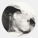 Recherche de rat autocollants Petit