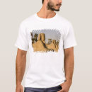 Recherche de sphinx Afrique