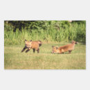 Recherche de rouge renard autocollants Faune