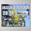 Recherche de forêt pin de posters Pour eux