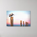 Zoek naar pelican kunst Florida