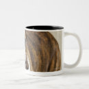 Recherche de new jersey tasses Regarder l'appareil photo