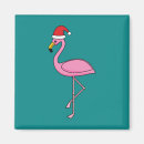 Recherche de funny flamingo Bird