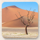 Recherche de arbre mort Dune