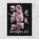 Recherche de orchidée noire cartes postales Fleur
