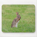 Zoek naar konijnen muismatten Easter