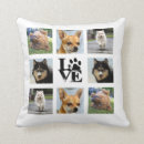 Recherche de chiens coussins Modèle