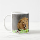 Recherche de roi lion tasses Zoo