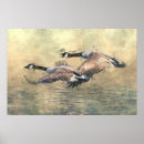 Recherche de observé art Peinture