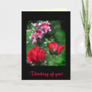 Zoek naar struiken kaarten Bladeren