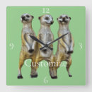 Recherche de crevettes horloges Mignon