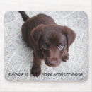 Recherche de chiot tapis souris Doux
