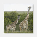 Recherche de longueur magnets Regarder l'appareil photo