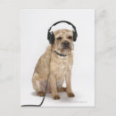 Recherche de connexion cartes postales Humour