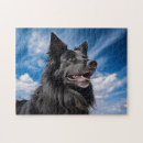 Zoek naar herders hond puzzels Gsd