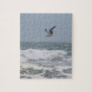 Recherche de mouette puzzles Océan