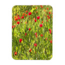 Recherche de d artiste magnets Floral