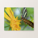 Recherche de à ailes puzzles Vert