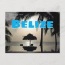 Zoek naar belize briefkaarten Palmboom