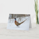 Recherche de faisan vœux cartes Hiver