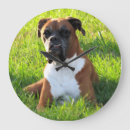 Recherche de boxer horloges Boxeur