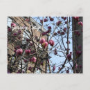 Recherche de jersey cartes postales Bâtiments