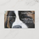 Recherche de st bernard cartes visite Chien