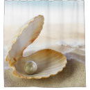 Recherche de plage de coquille Perle