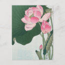 Zoek naar lotusbloem briefkaarten Bloeiende lotusbloemen