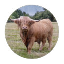 Recherche de taureaux planches à découper Animaux