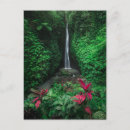 Recherche de paysage tropical cartes postales Bali