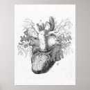 Zoek naar anatomie vintage posters Medisch
