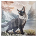 Recherche de chat noir et blanc carreaux Amoureux de les chats